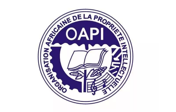 从中国高铁进入非洲,浅谈非洲商标注册流程及保护制度2