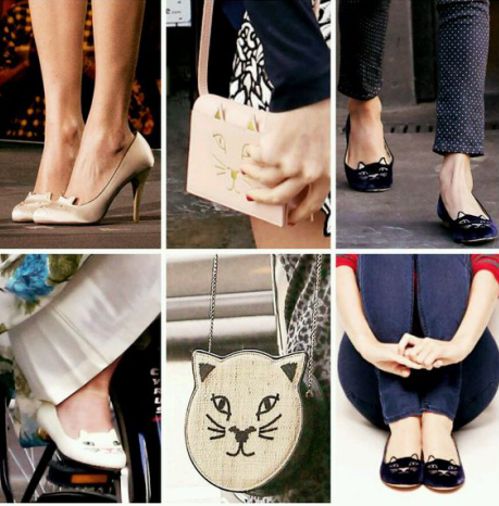 真是人不如猫 “霉霉”的爱宠都注册成商标了4