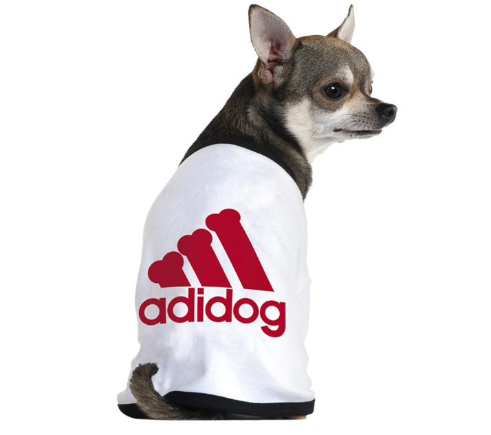 想蹭Adidas的热度没那么容易，Adidog商标被撤销
