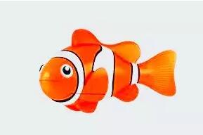 Robo Fish侵权案二次冻结开始，大批Wish和eBay卖家中招