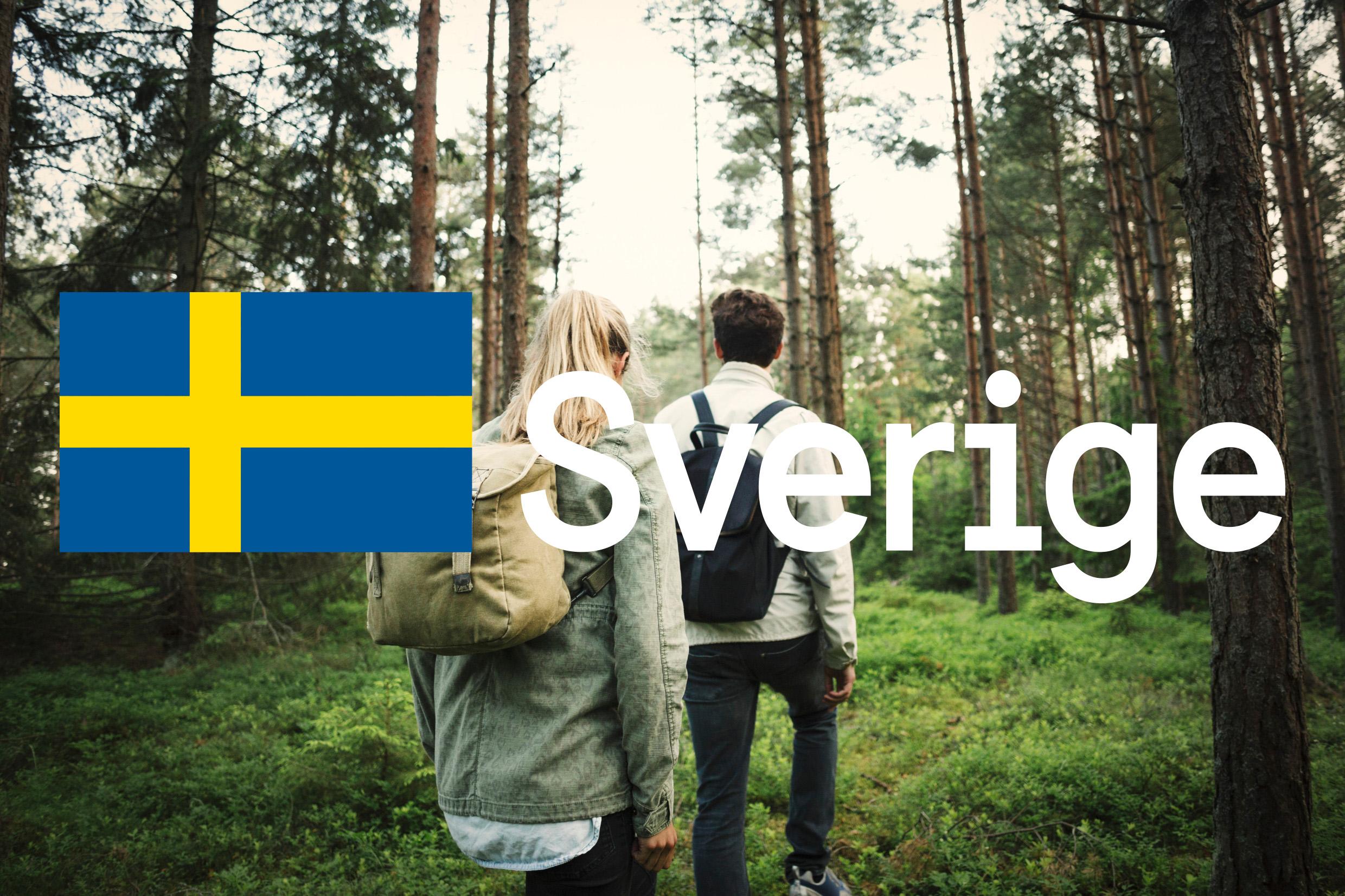 2019年瑞典电商营业额将达168.6亿欧元，这份瑞典电商市场入驻指南请收好