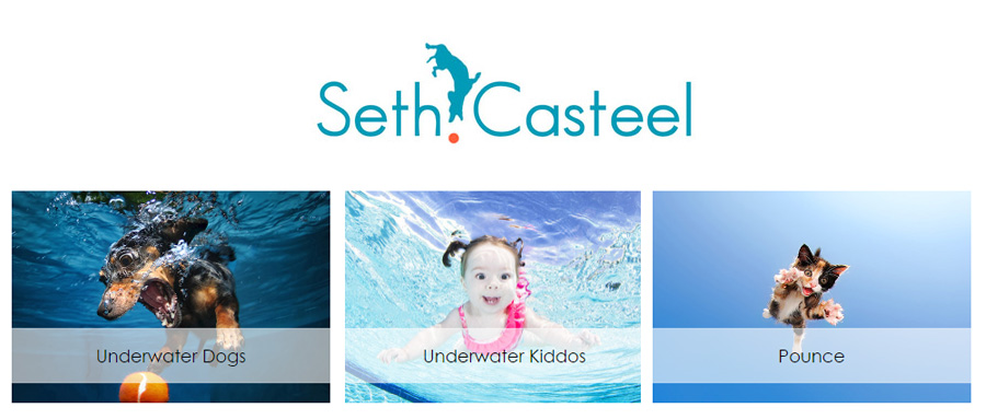 【22-3914】【22-3892】【22-3856】摄影师Seth Casteel版权维权发案！尚未提起TRO动议
