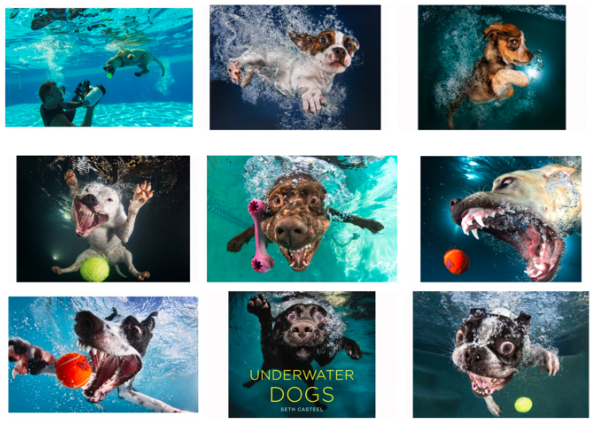 image.png 文章内容插图图片