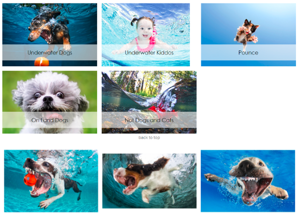 image.png 文章内容插图图片