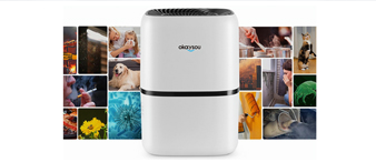 [赛贝23-16044] Yk律所代理Okaysou商标起诉！已提出TRO！