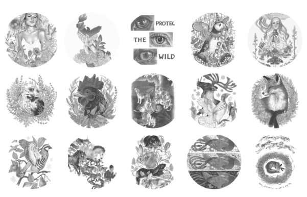 文章内容插图图片