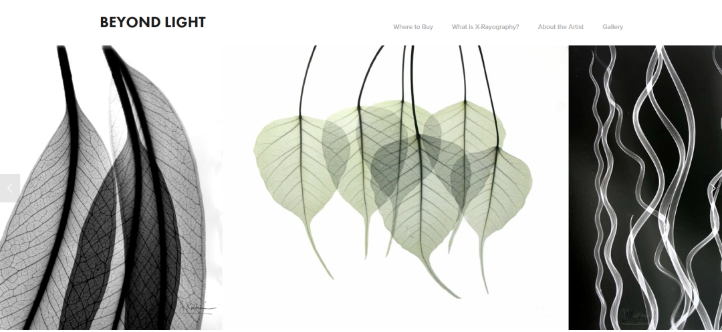 文章内容插图图片