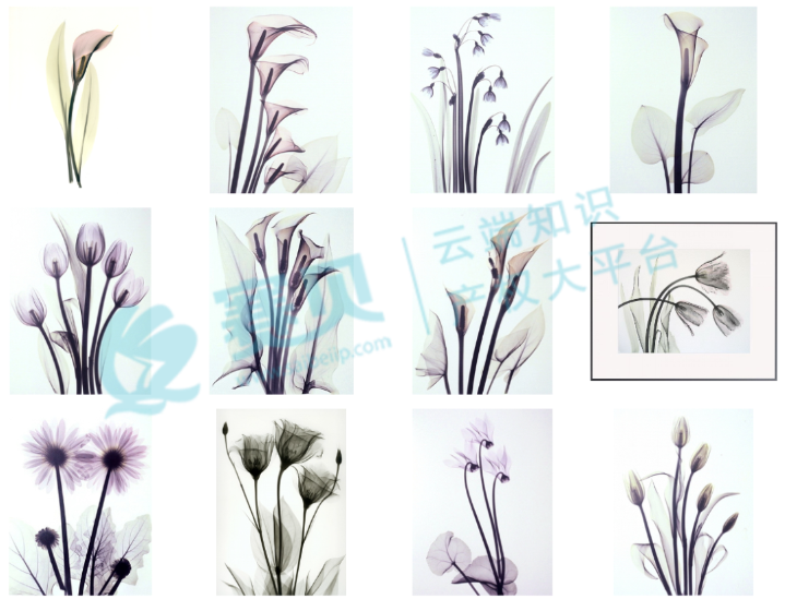 文章内容插图图片