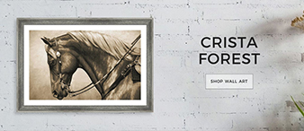 [赛贝23-2961]Keith律所代理Crista S. Forest版权画起诉！未提出TRO！