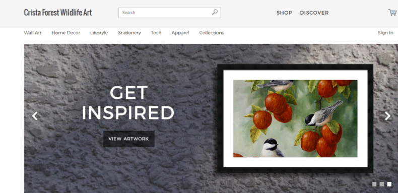 文章内容插图图片