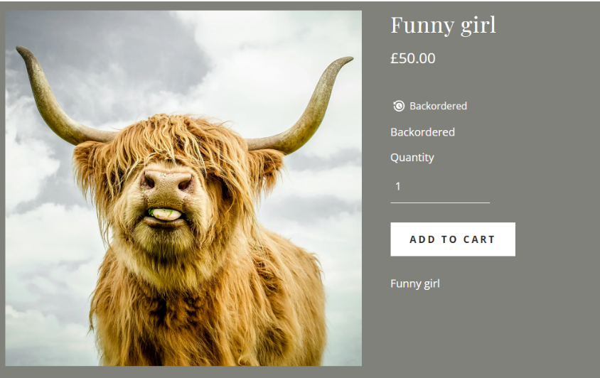 文章内容插图图片