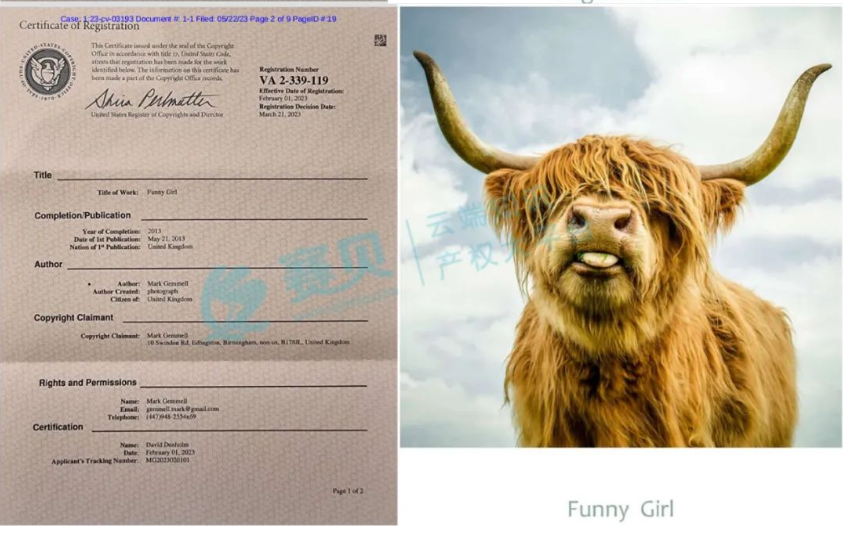 文章内容插图图片