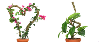 [赛贝23-6434] Renner律所代理可弯曲苔藓杆起诉，涉及专利侵权！未提出TRO！