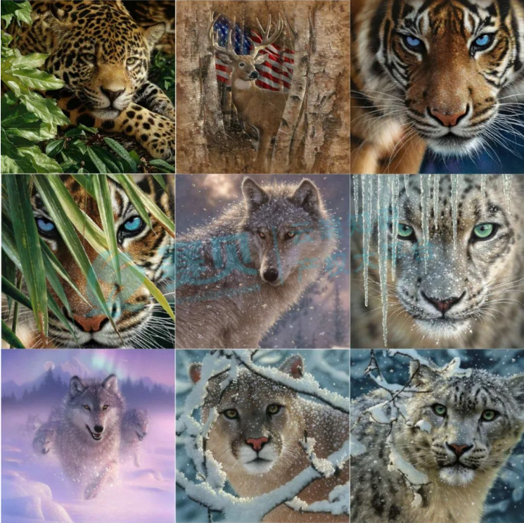 文章内容插图图片