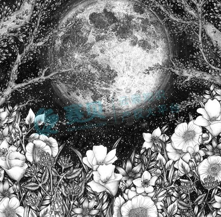 image.png 文章内容插图图片