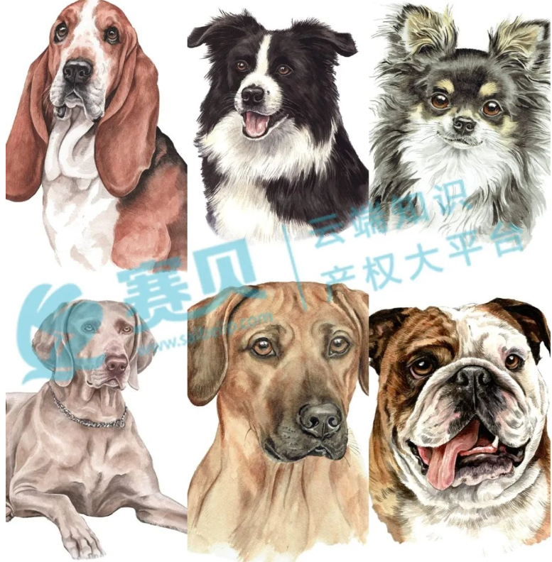 文章内容插图图片
