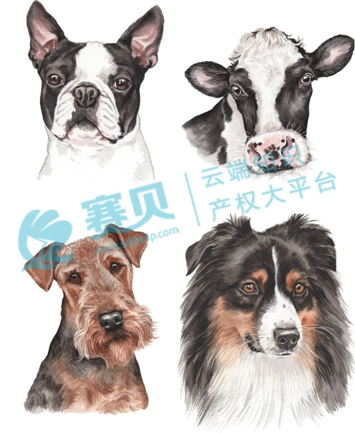 文章内容插图图片