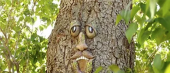 【24-cv-12286】园艺雕塑作品树脸TRO版权维权，这4个作品图千万不能使用！ 未开始冻结账户资金！