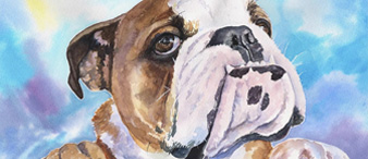 【25-cv-12479】3张爆款动物插画侵权预警，Keith律所代理Georgii Diachenko发起版权TRO维权！