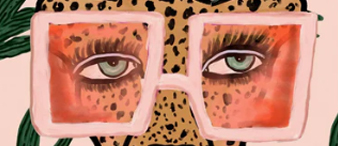 【25-cv-12813】9张动植物诙谐图案TRO维权，Kendra Dandy作品侵权风险高！