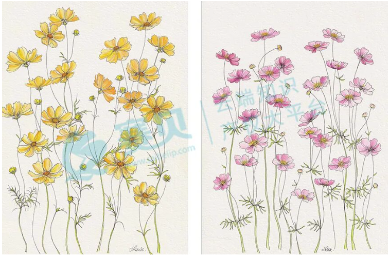 文章内容插图图片