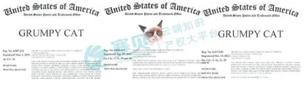 image.png 文章内容插图图片