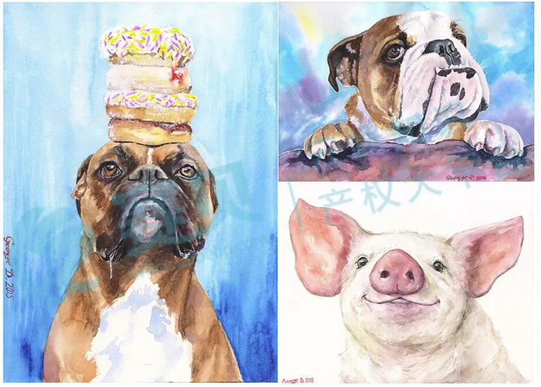 文章内容插图图片