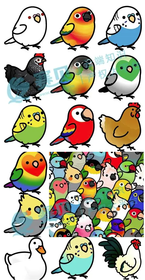 文章内容插图图片