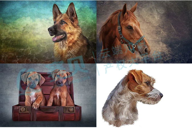 文章内容插图图片