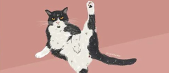 【25-cv-13441】3项萌趣猫咪插画遭TRO维权，Alisa Levytsky版权侵权风险高危！