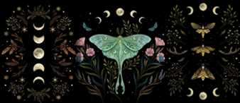 【25-cv-13298】7张奇幻夜景版权TRO维权炸锅!飞蛾、月亮、猫咪元素全中招，Yun Kyung Lee作品侵权风险高！