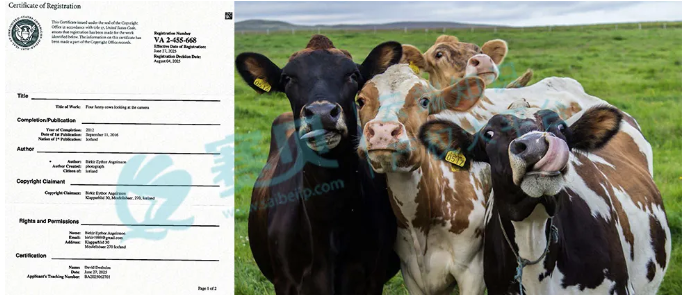 image.png 文章内容插图图片