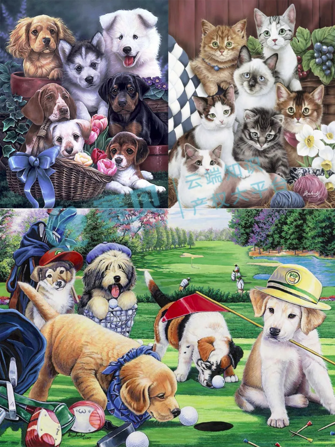 文章内容插图图片