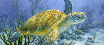 【25-cv-14670】6件动植物插画+33个被告！Beth Hoselton-Gray发起版权TRO，跨境卖家速避侵权风险！