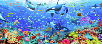 【25-cv-01840】19项太空/自然/动物等主题版权TRO突袭！亚马逊/沃尔玛/Temu等跨境卖家注意侵权风险！