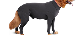 【25-cv-25766】38家沃尔玛店铺中招！GASTROPOD商标TRO维权，皮具类卖家速查侵权风险！