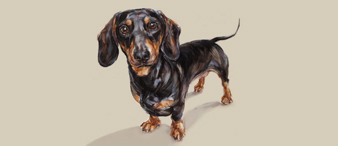 【25-cv-15493】120家跨境卖家中招！这款腊肠犬肖像画版权TRO诉讼突袭，Justine Osborne作品侵权高危！