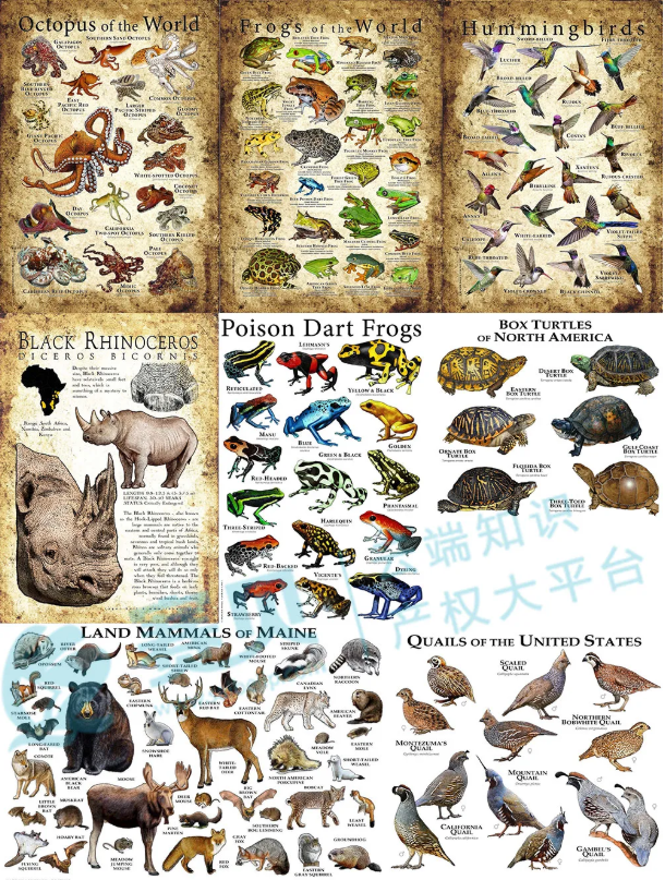 image.png 文章内容插图图片