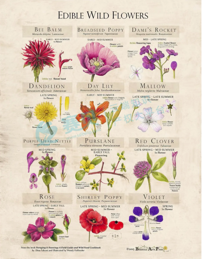 文章内容插图图片