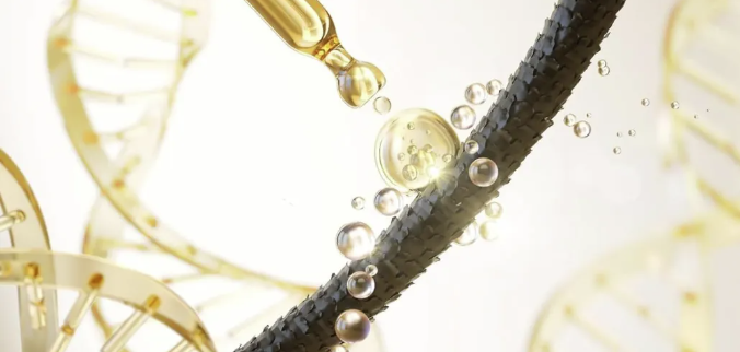 image.png 文章内容插图图片