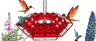 【25-cv-1355】Lil Sweety蜂鸟喂食器TRO版权侵权，立即停售下架！已申请TRO冻结令！