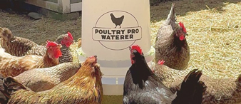 【25-cv-5219】警惕！Poultry Feeder 家禽喂养器商标+专利TRO维权又双叒发案啦，未开始冻结账户资金！