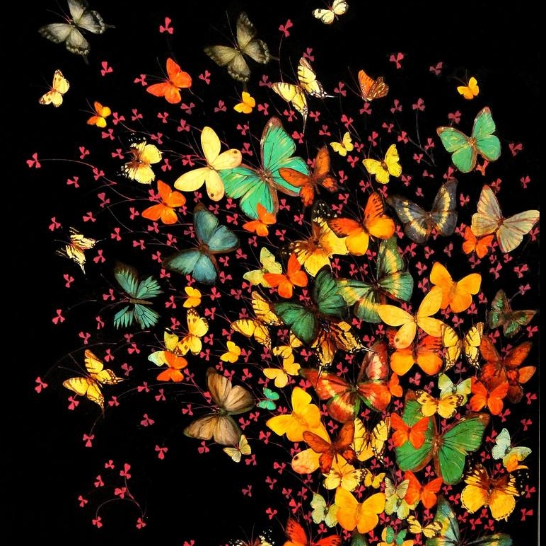 【25-cv-6246】警惕！Elizabeth Anne Evans《黑色背景上的蝴蝶》版权TRO维权，未开始冻结账户资金！