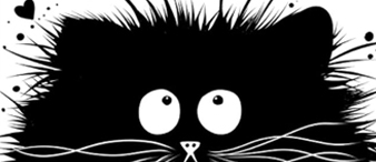 【25-cv-6180】抓紧排查！Kim Haskins黑白可爱猫咪版权首发TRO维权，未开始冻结账户资金！