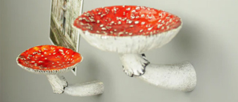 连发5案，涉及445张版权图！keith律所代理Mark Marko蘑菇墙架TRO维权【25-cv-5113】