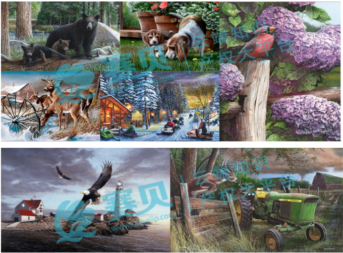 文章内容插图图片