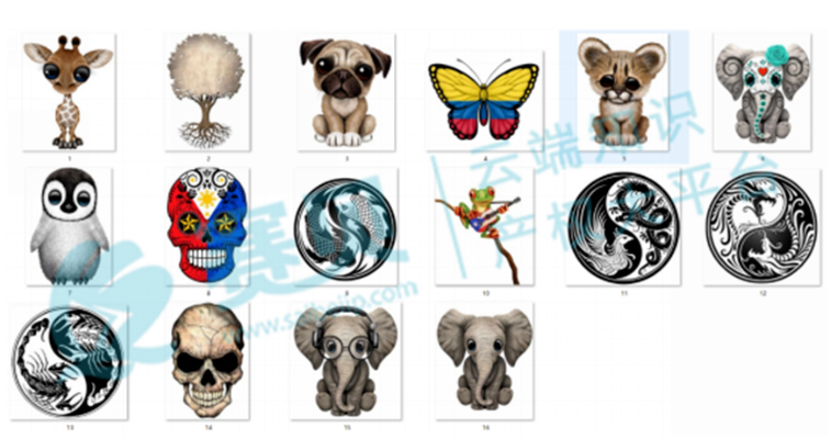 文章内容插图图片