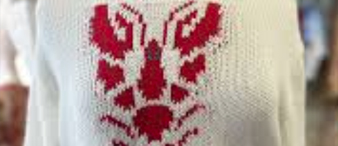 【25-cv-6899】侵权必究！小龙虾印花版权维权，David 律所代理 Lucy Munro发起TRO！