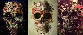 【25-cv-7997】花卉骷髅版权画维权，Ali Gulec发起 TRO诉讼，你的店铺有风险吗？