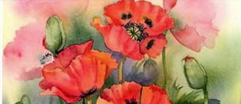 【25-cv-8408】Rachel水彩画TRO维权，花卉、葡萄酒场景侵权就告，跨境卖家速看！